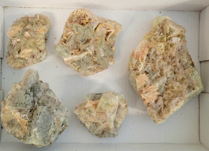 Clearance Lot: Large Green Cubic Fluorite Crystal Clusters - Pieces #215439